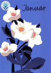 Postkarte Monatskarte Bold Flowers