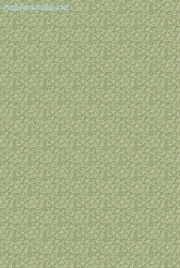 Geschenkpapier Nature Pattern